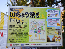 神宮外苑いちょう祭り